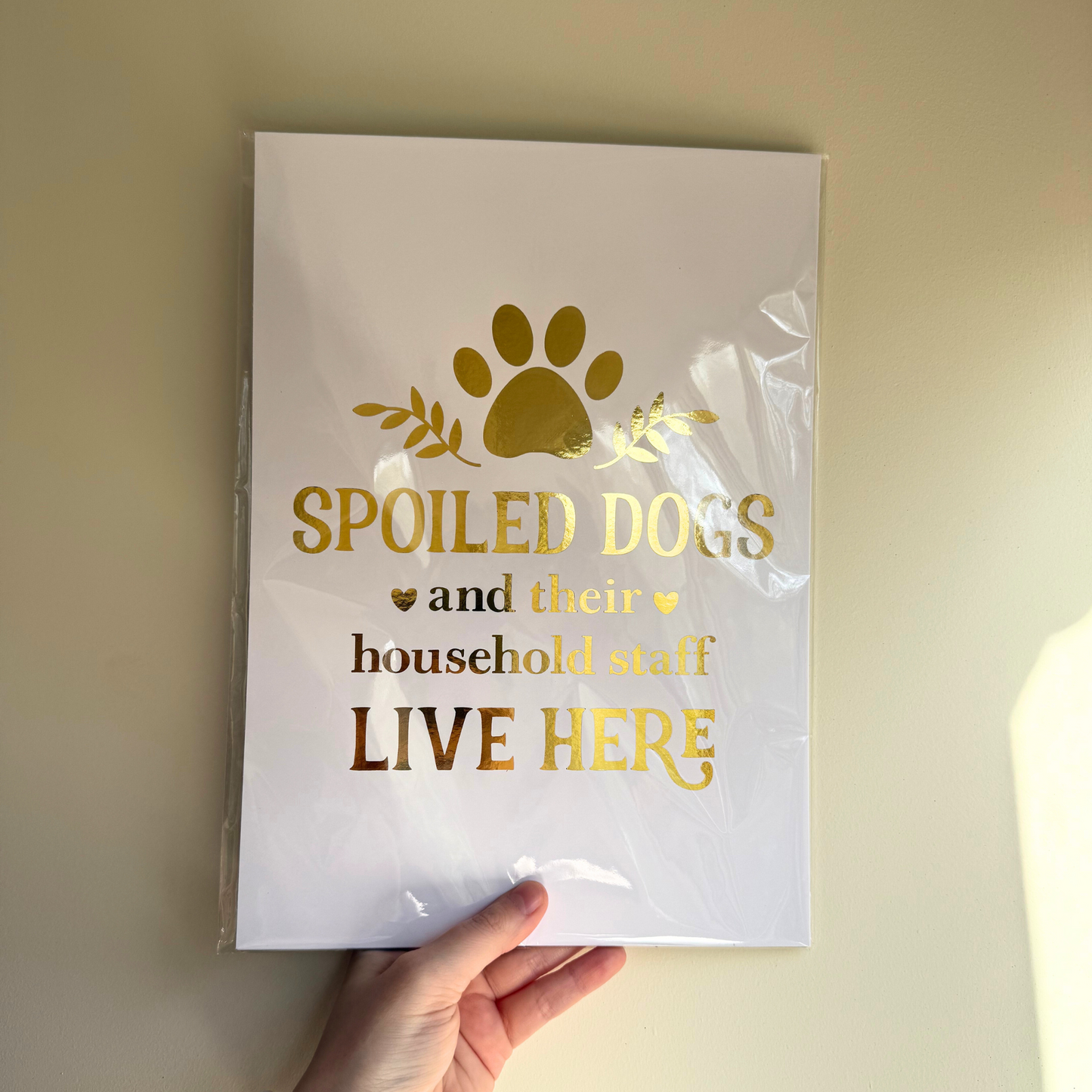 Dog Wall Art 